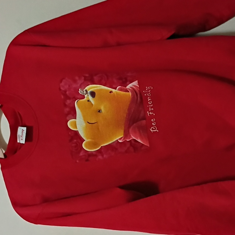 Disney Red Winnie the Pooh Pullover Large